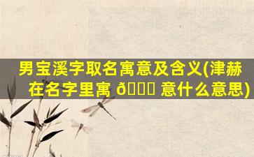 男宝溪字取名寓意及含义(津赫在名字里寓 🐒 意什么意思)